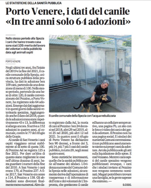 Articolo della giornalista Sondra Coggio uscito ieri su Il Secolo XIX.
L'articolo illustra i dati sulle adozioni dei cani nella nostra provincia.
 
Per agevolarne la lettura riportiamo qui sotto il contenuto dell’articolo in maniera integrale:
 
Negli ultimi tre anni, fra l’inizio del 2019 e la fine del 2021, il canile comunale della Spezia, unica struttura pubblica della provincia, ha dati in adozione ben 109 cani, partendo da una dotazione di meno di 100. Nello stesso periodo, partendo da una base di oltre 120, il canile convenzionato del Pezzino, a Porto Venere, ha registrato solo 64 adozioni. Emerge dai dati aggiornati in questi giorni dalla sanità veterinaria spezzina. Aggiungendo anche il dato del 2018, quando le adozioni erano state rispettivamente 43 e 13, la differenza si allarga ancora. Si arriva a 152 adozioni in quattro anni, al comunale, contro le 77 del rifugio delle Grazie. Al canile di San Venerio i cani ospiti viaggiano ormai stabilmente al di sotto di quota 100. Al Pezzino Asl ne registra 125 a fine 2021. Per dare un’idea di quanto siano migliorate le cose nell’ultima dozzina di anni, basta guardare i numeri della fine del 2010. A San Venerio i cani erano 170, al Pezzino 237. A fine 2017, San Venerio era sceso a 114, il Pezzino a 158. Gli abbandoni sono diventati finalmente meno numerosi. Altro dato registrato dalla Asl, la moria di cani al Pezzino: ben 24 decessi nel 2018, altri 29 nel 2019, altri 25 nel 2020, più altri 12 nel 2021. In quattro anni il rifugio di Porto Venere ha dichiarato ben 90 decessi, a fronte dei 3, più 14, più 7 più 5 casi del canile pubblico, in tutto 29, negli stessi quattro anni. Sono statistiche interessanti, quelle che la sanità pubblica pone all’esame dei sindaci. L’evidenza successo del Comune della Spezia nelle adozioni, sicuramente deriva dall’operazione di trasparenza e di informazione dell’ente e dei volontari de L’Impronta, che gestiscono il canile ed hanno un cellulare sempre attivo, una pagina Fb, un sito con le foto e i video dei cani e dei gatti da adottare. Il Pezzino non ha una pagina social. Ed i sindaci dei numerosi Comuni convenzionati non pubblicano assolutamente niente sui propri cani da adottare. Arcola pubblica solo gli atti sulla liquidazione delle spese. E così Vezzano. Mentre i cani ospiti del canile spezzino vengono pubblicizzati ovunque, i cani che i sindaci inviano al Pezzino non vengono nemmeno nominati. Magari potrebbero trovare una famiglia, se la gente sapesse che esistono.
 
 